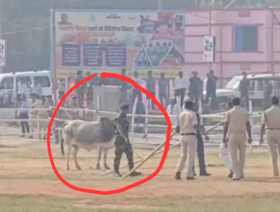 ब्रेकिंग : CM सुरक्षा में बड़ी चूक, कार्यक्रम से पहले हेलीपैड में घुसा सांड, पुलिसकर्मियों को दौड़ाया; एक घंटे तक मची अफरा-तफरी